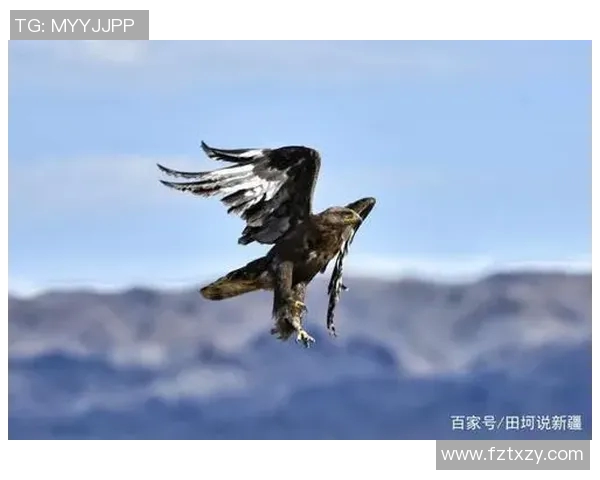 足球明星与自然风光交融的艺术画卷展现魅力与激情